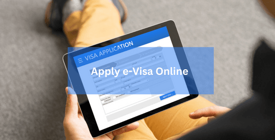 apply evisa online