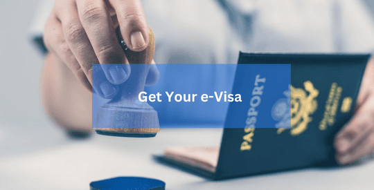get your evisa in minutes